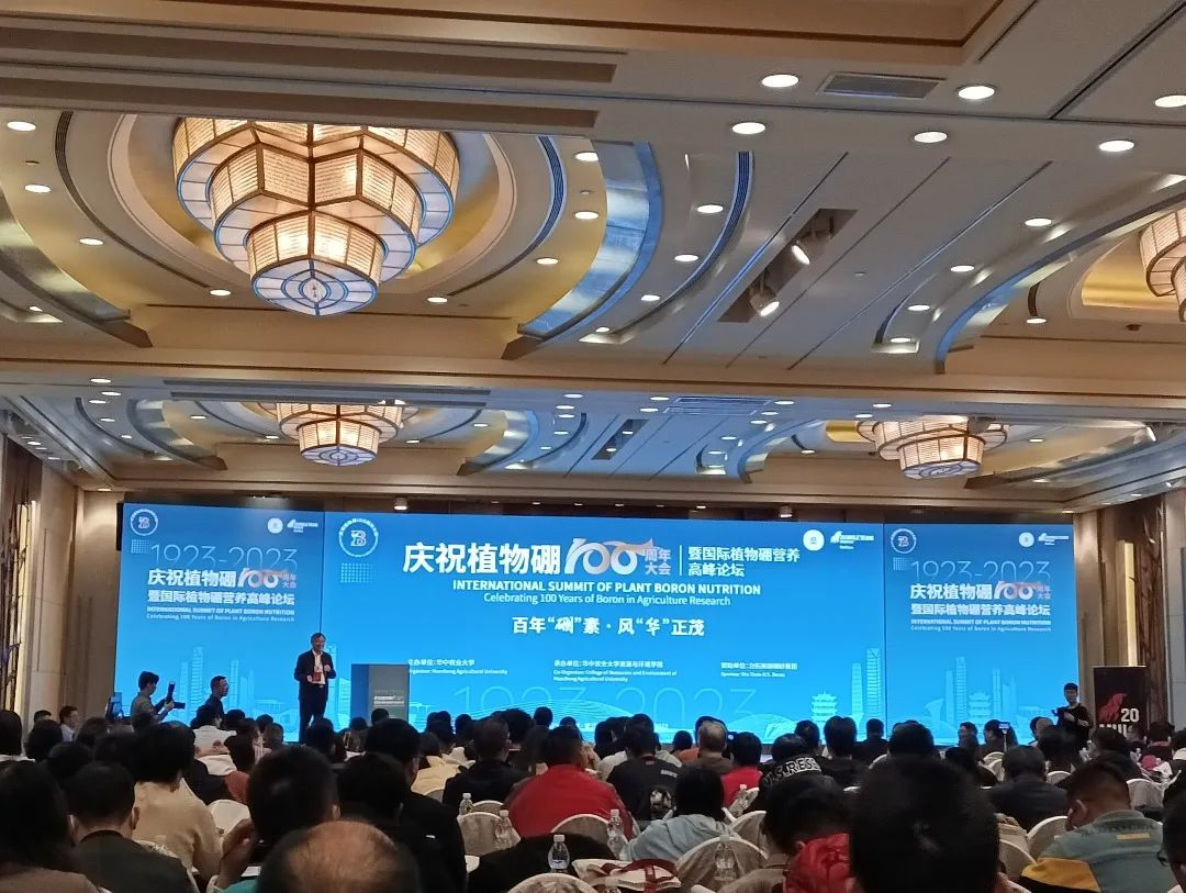 小金库钱包(中国游)官方网站