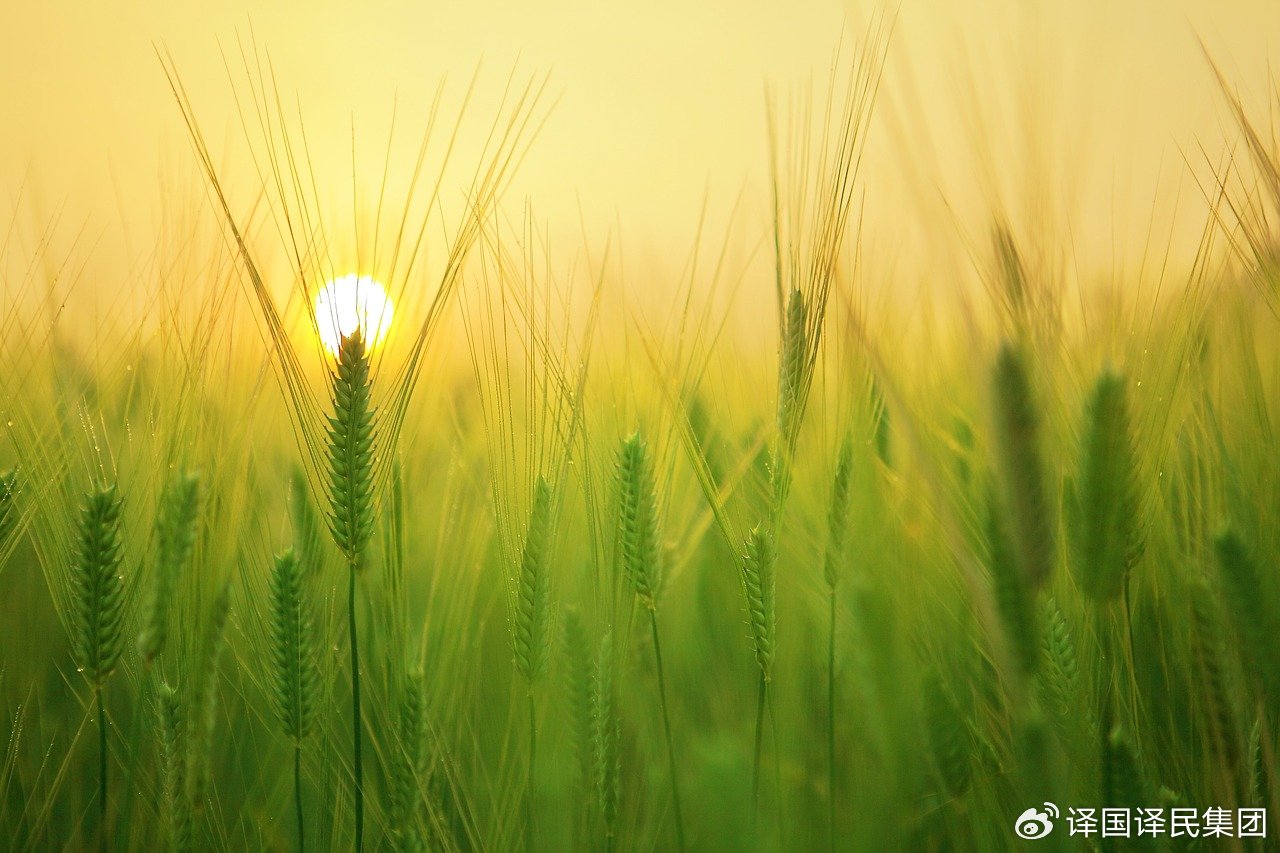 小金库钱包(中国游)官方网站